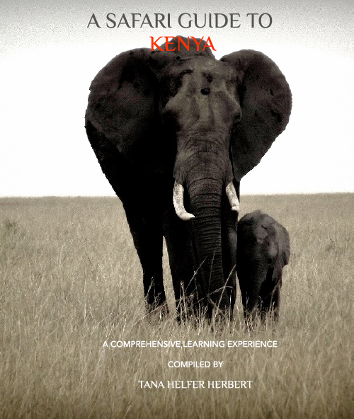 a-safari-guide-to-kenya-cover
